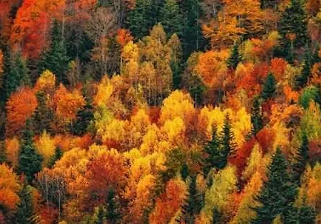 아파트 Casa Lobo - Fanlo *