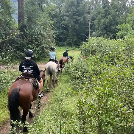 아파트 Casa Lobo - Fanlo