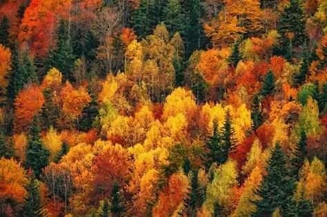 Апартаменты Casa Lobo - Fanlo *