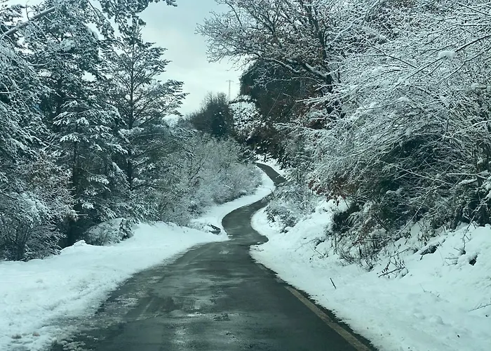 Апартаменты Casa Lobo - Fanlo *