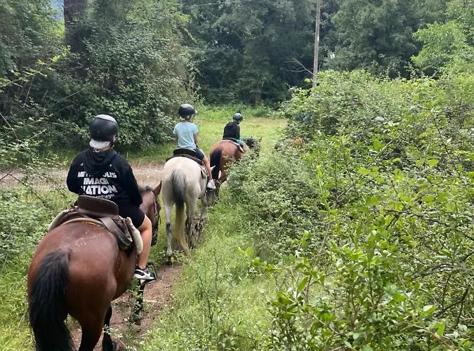 Апартаменты Casa Lobo - Fanlo